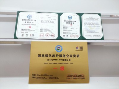上海市專(zhuān)業(yè)工商注冊(cè)與財(cái)稅服務(wù)全攻略